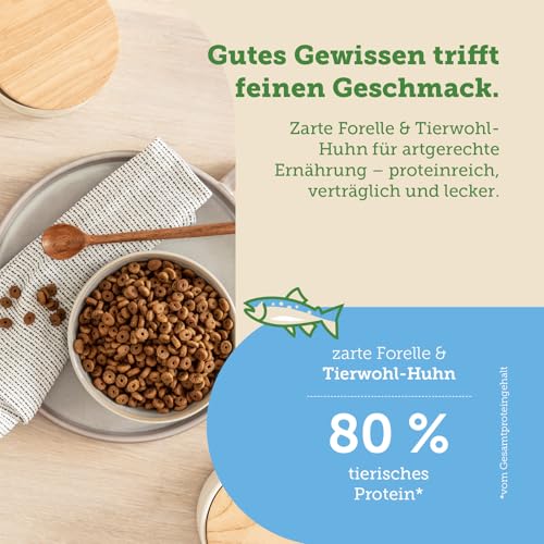 MERA Cats Nature Forelle Premium Katzenfutter Trocken 2kg | Getreidefrei & zuckerfrei | Adult Katzen Trockenfutter hoher Fleischanteil | Dry Cat Food