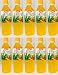 OKF Aloe: Mango Aloe Drink 10/16.9 Oz. Case