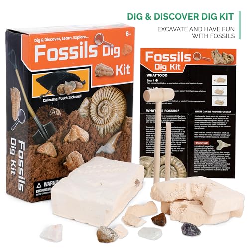 Image of IQCrew By AMSCOPE KIDS - Black Metal Arm Starter Kids Student Compound Microscope Kit with Fossil Dig Activity Kit and Insect Slides