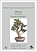 TROPICA - Olivo (Olea europea) - 20 semillas- Bonsai