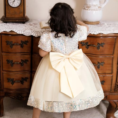 Cichic Puffy Tulle Baby Girl Formal Dress For Party Baptism Ceremony Photoshoot Wedding Flower Girls Dress  thumb #3