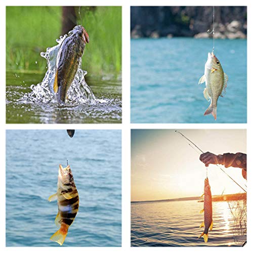 Ami da pesca in acciaio al carbonio, set da 500