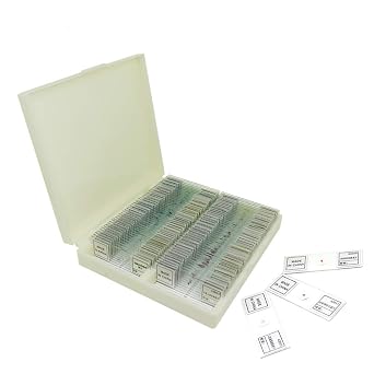 50PCS Prepared Microscope Slides Set, Microscope Slides With Wooden Slide Storage Box, Microscope Slides Prepared Lab For Basic Biological Science Education