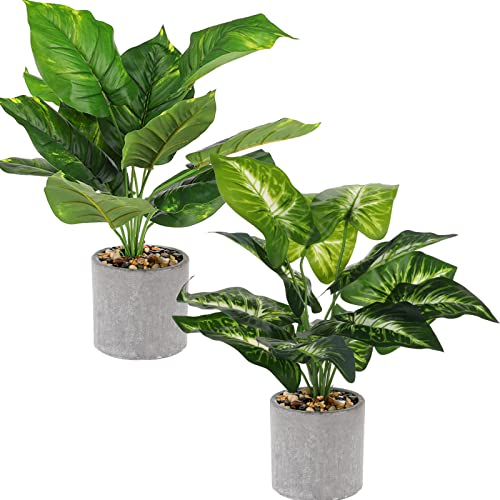 Dicunoy Lot de 2 plantes artificielles en pot de 40,6 cm pour bureau, étagère, bureau, maison, ferme, chambre, salle de bain, cuisine, décoration Cover