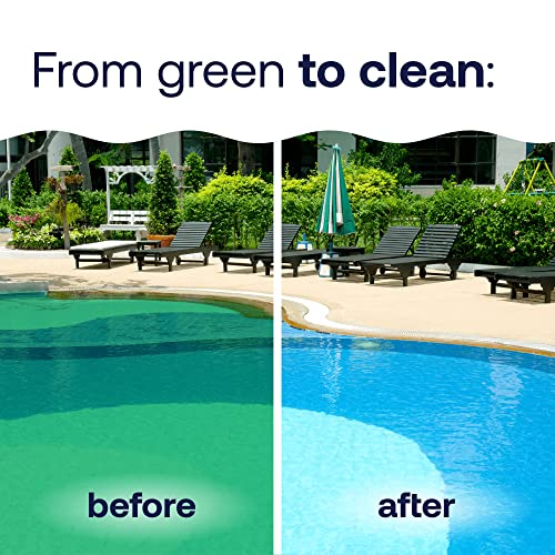 Hth 67289 Swimming Pool Care Algae Guard Ultra thumb #3