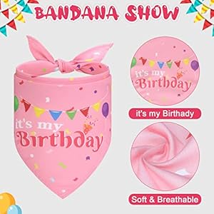   EXPAWLORER-Dog-Birthday-Outfit-Cute-Hat-Bandana-Scarf-and-Squeaky-Cake-Dog-Toy-for-Birthday-Party-Supplies-Gift-Great-Party-Decorations-for-Small-Medium-Large-Dogs-Girl-Pink