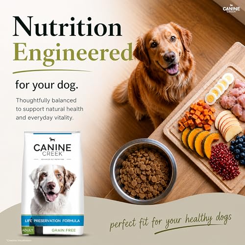 Image of Canine Creek Ultra-Premium Adult Dry Dog Food 3kg | Chicken Flavour | Healthy Muscle Development | Dental Health | Healthy Immune System | Long & Healthy Life