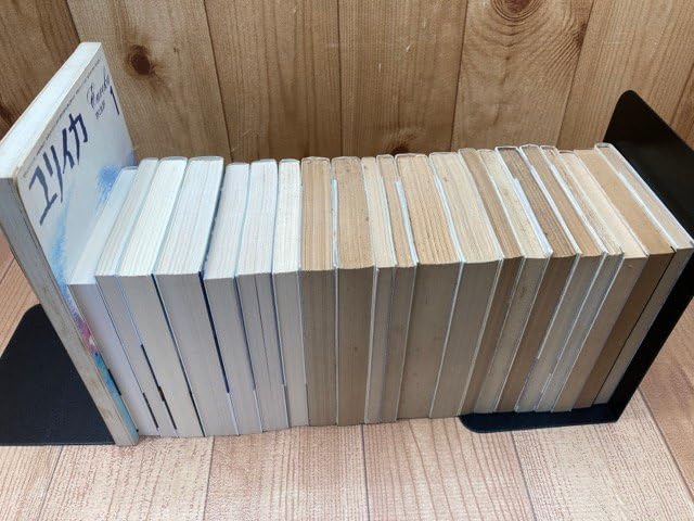 Amazon.co.jp: スタニスワフレム 文庫21冊全初版+ユリイカ/浴槽
