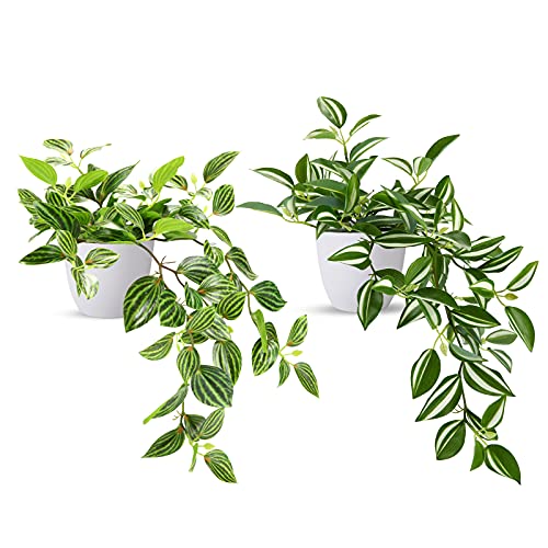 SOGUYI Fake Plants, Artificial Plants 15 Inch Faux Peperomia Watermelon Plants for Indoor Outdoor Decor,Realistic Artificial Hanging Plants in Pot for Home Office Perfect Housewarming Gift,2 Pack