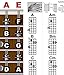Mandolin Classic Style Easy Chord & Fretboard Note Chart Instructional Poster for Beginners Chords & Notes A New Song Music 11