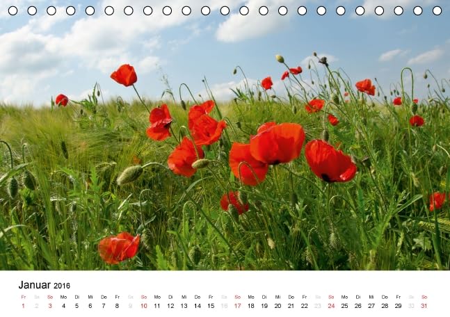 MohnZeit (Tischkalender 2016 DIN A5 quer): Landschaften voller Mohnblüten (Monatskalender, 14 Seiten ) (CALVENDO Natur)