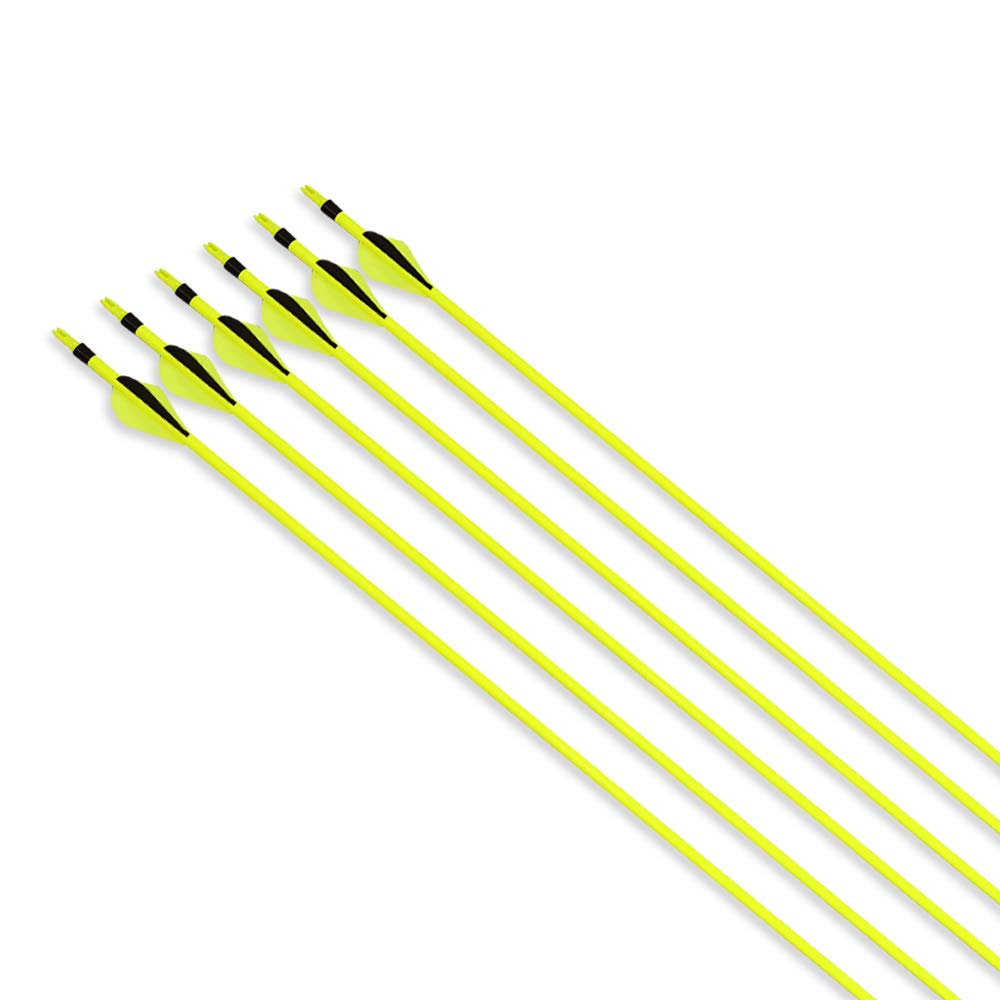 NIKA ARCHERY 12 flèches de carbone pur 600 colonne vertébrale Turquie Plume Fletching Points de vissage pour la chasse aux longues flèches d'arc traditionnelles pour arc de calcul de bug