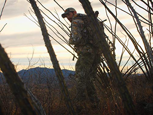 Arizona - Arrow Released, Stalk on a Bedded Buck!