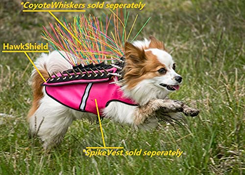 Coyotevest Hawkshield Pad For Coyotevest Or Spikevest Dog Harness Vest, Protective Dog Accessories To Shield Your Pet From Raptor, Hawk, Coyote And Animal Attacks (Xs, Fluorescent Orange) #TOP3