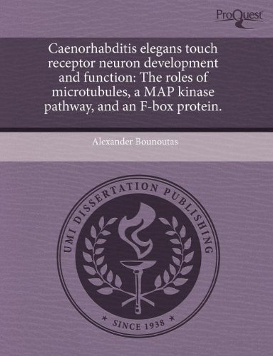 Buy Caenorhabditis Elegans Touch Receptor Neuron Development and ...