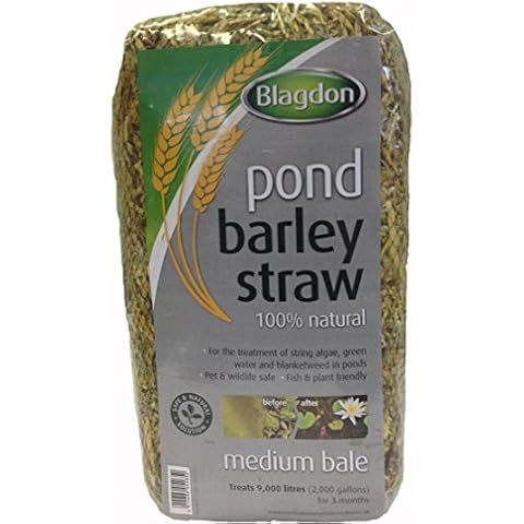 Blagdon 1054652 Pond Barley Straw Bale, Clears Algae, Green Water and Blanketweed, Natural, Medium, for Ponds up to 9, 000 Litres Cover