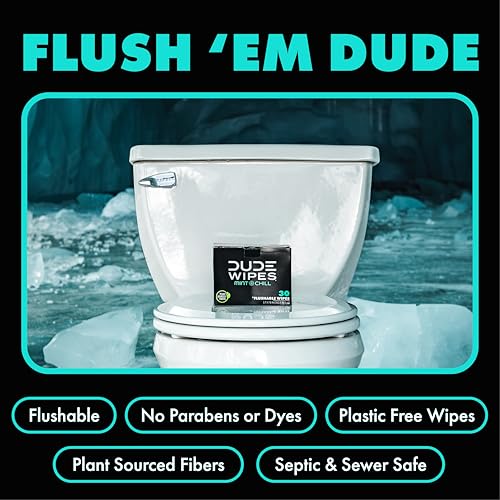Image of DUDE Wipes On-The-Go Mint Chill Travel Wipes-Extra-Large Adult Flushable Wipes - Infused with Tea Tree Oil, Vitamin E, and Aloe - Septic and Sewer Safe,30 Count (Pack of 4)