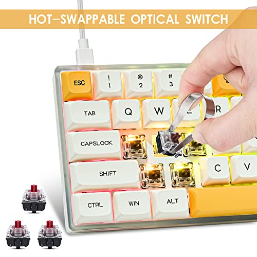 Image of Guffercty kred 60% Mechanical Keyboard 60 Percent Honey Milk XDA Keycaps Custom Hot Swappable with RGB Backlit NKRO Type-C Cable for Win /PC /Mac (Gateron Optical Red, Bee)