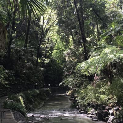 Todoroki Valley（等々力渓谷）