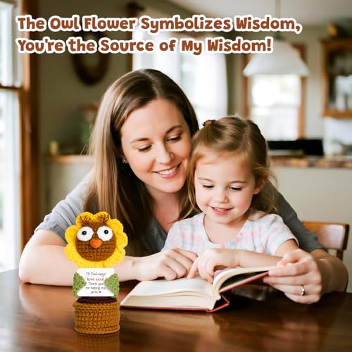Appreciation Gifts for Women Men, Emotional Positive Support Crochet Owl Flower, Thank You Gifts for Women Teachers Mom Coworker Friend Boss Lady Birthday Retirement Back to School Last Day of School by WoollyPearl - Image 2