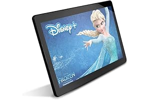 10.1 Inch Android Headrest Video Players with WiFi