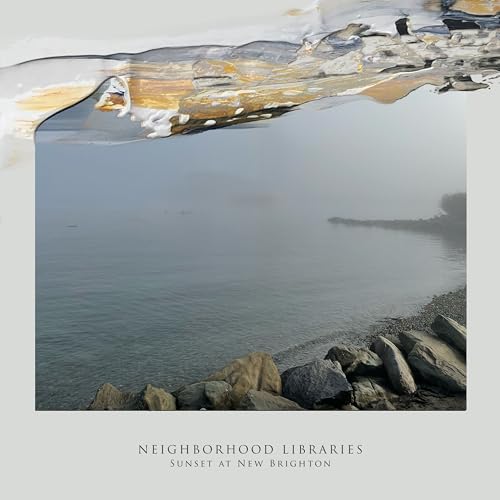 Neighborhood Libraries