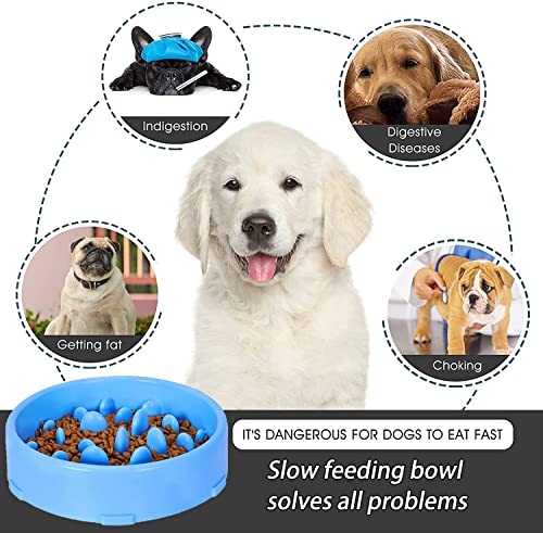 GWL langsame Fütterung Hundenapf, Anti Schling Hundenapf, rutschfest Fressnapf zur Langsameren Nahrungsaufnahme, Anti-Schluck Futternapf für Haustier, Interessanter interaktiver Hundenapf (Blau) - Image 6
