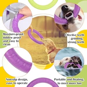 Liliful 4 Pcs Outdoor Dog Toy Dog Ring Toy Dog Flying Discs Dog Chew Toy Dog Playground Equipment for Small Medium Large Dog Training Fetching Throwing Catching Interactive Play, 4 Colors Liliful 4 Pcs Outdoor Dog Toy Dog Ring Toy Dog Flying Discs Dog Chew Toy Dog Playground Equipment for Small Medium Large Dog Training Fetching Throwing Catching Interactive Play 4 Colors