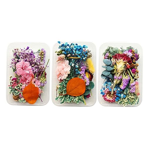 Kit para hacer velas con flores secas Alipis 3 cajas miniatura 1