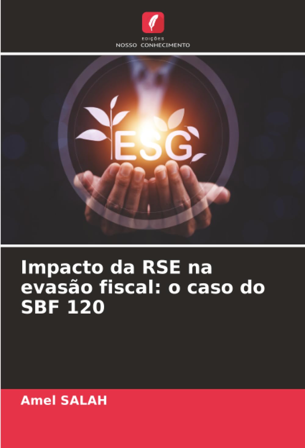 Impacto da RSE na evasão fiscal: o caso do SBF 120