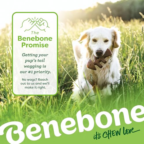 Image of Benebone Limited Edition Small 4 Pack with Pumpkin Wishbone Dog Chew Toys for Aggressive Chewers, Made in USA, 30lbs and Under