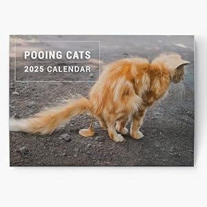 Evelay Wandkalender 2025 Fun Pooing Cats