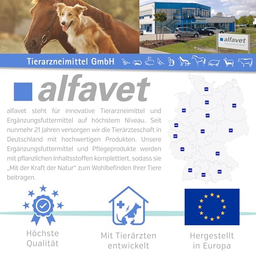 alfavet ReConvales Tonicum Katze, Doppelpack, appetitanregendes Ergänzungsfuttermittel zur Rekonvaleszenz und bei Untergewicht, 2 x 280 ml