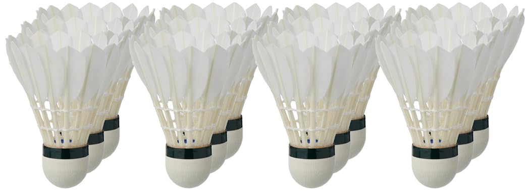 Amazon | Yonex Aeroclub TR Badminton Feather Shuttlecock ACB