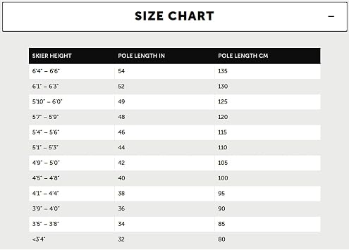VOLKL Phantastick Ski Poles 2023 - Race Ready - 18mm Aluminum Pole, Ergonomic Pantastick 2K Grip, Powder Basket