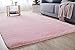 HETOOSHI Tapis pour Le Salon,Tapis Moelleux d'intérieur Modernes en Velours Super Doux et Moelleux Fluffy Soft Longhair Décoratif Coussin de Chaise Canapé Natte(Rose 80 x 160 cm)