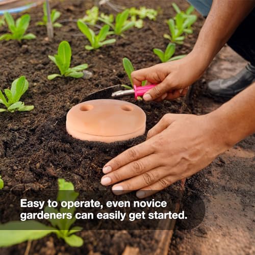 Opiniones y reviews de Contenedores para hacer compost para exterior los 5 más buscados. 24 Imagen adicional