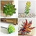 GPARK (Mini Size 10 Pcs Artificial Succulents Pots Pot Plants Fake Assorted Simulation Cactus Cacti DIY Materials Decoration Plastic Green Leaf Faux Aloe 2-4 inch Small (No Cube)