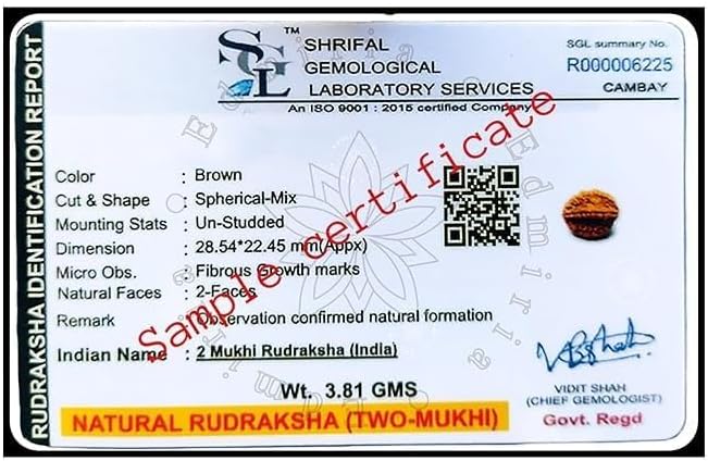 Nepali Rudraksha Beads 2 Mukhi 3 Faced, 4 Mukhi, 5 Face, 6 Mukhi, 7 Mukhi Certified Natural Himalayan Rudrakhsha Beads for Healing, Pooja, Meditation, Prayer, Japa - Image 7