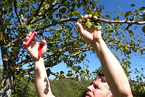Felco 12 snoeien schaar (gesneden Ø 20 mm, snoeien schaar met rolgreep, snoeiende schaar met medium gehandeld, lengte… - Afbeelding 3