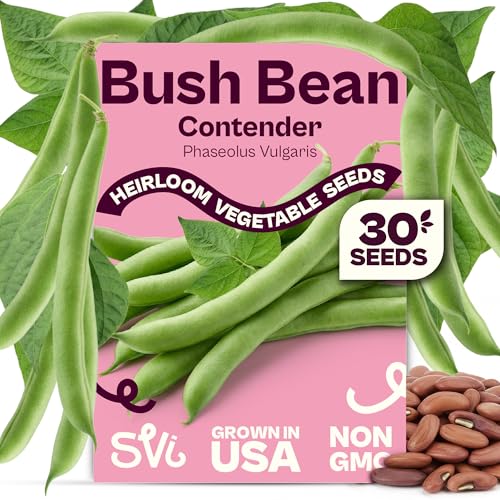 SVI 30 Contender Bush Green Bean Seeds (Phaseolus vulgaris) – Stringless Green Bean Seed Packets, Snap Bush Beans – Heirloom Vegetable Seeds for Outdoors, Vegetable Garden, Containers