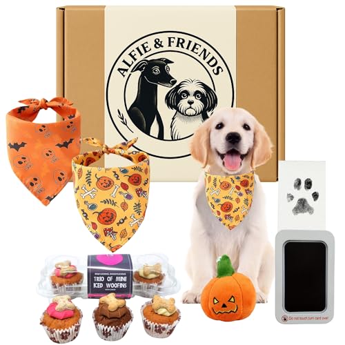 Halloween Dog Gift Set Hamper With Trio Mini Iced Woofins,Plush Pumpkin Toy For Puppy, 2pcs Bandanas, Paw Print Kit, Soft Dog Plush Toy, Fun Gifts For Dogs, Small Pet Accessories Essentials, Scary Fun