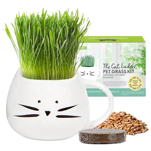 The Cat Ladies Erba per Gatti da Interno - Kit di Coltivazione - con Semi Terriccio e Fioriera a Forma di Tazza - Snack Naturale per Gatti - Aiuta la Digestione Contro Boli di Pelo