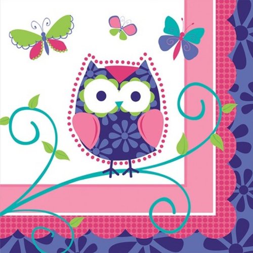 Creative Converting Owl Pal Birthday 3-Ply Beverage Napkins 16-Piece