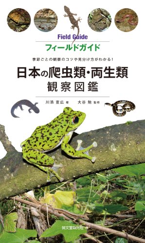 日本の爬虫類・両生類 観察図鑑: 季節ごとの観察のコツ・種類の見分け方がわかる (フィールドガイド)