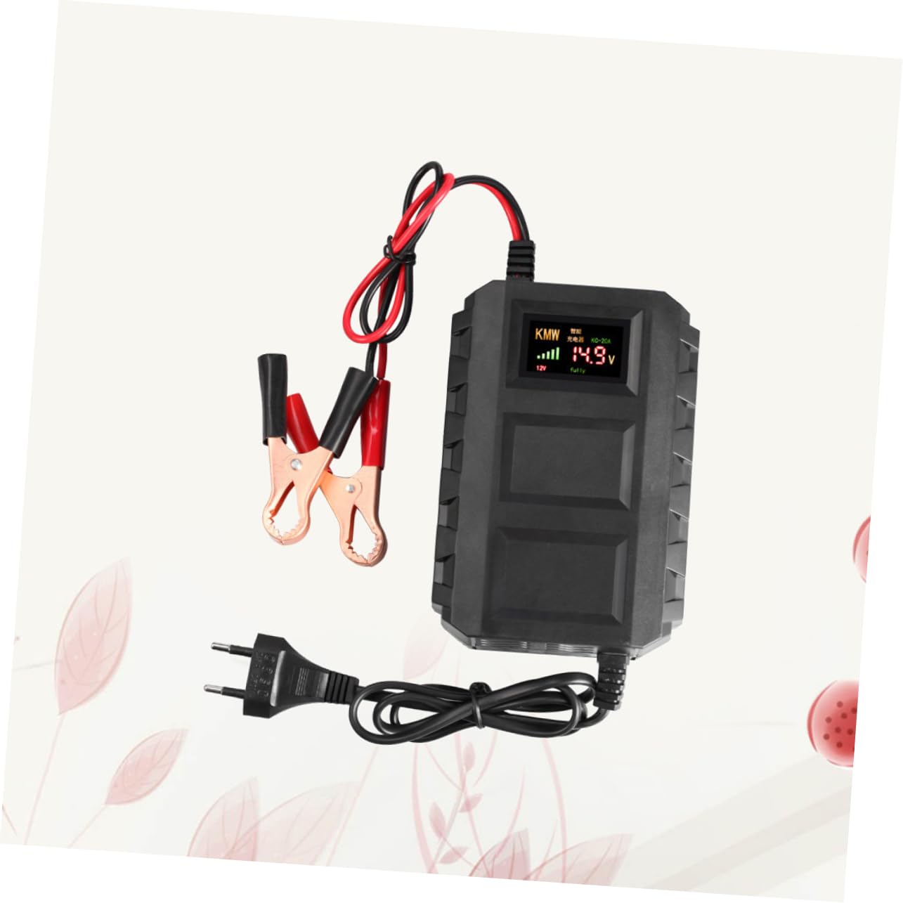 Chargeur de Batterie Automobile 12 V 20 A Modèle 20a en Plastique