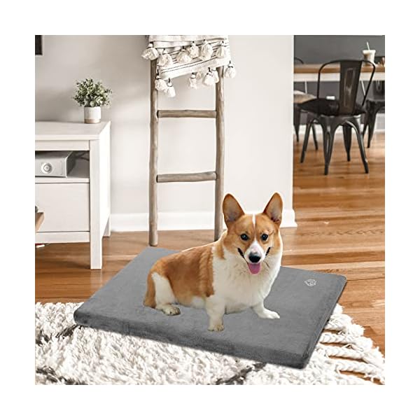 Stylish Dog Bed Mat