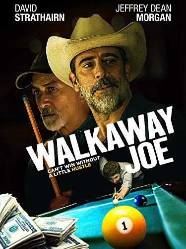 Walkaway Joe Top 10 Best Star Pool Cues - Our Recommended