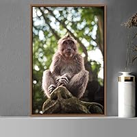 Framed Canvas Wall Art Monkey Animals Expressive Farmhouse/Country Living Room Monkey Multicolor Photography - 16x24 inches