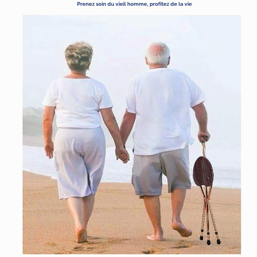 Canne De Siège Pliante, Capacité De 200 Kg, Canne Légère Et Réglable, Idéale pour Les Voyages Extérieurs, Les Événements Et La Marche des Personnes Âgées